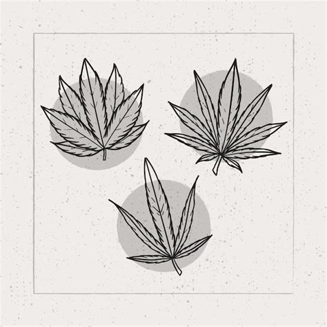 Cannabis Leaf Outline