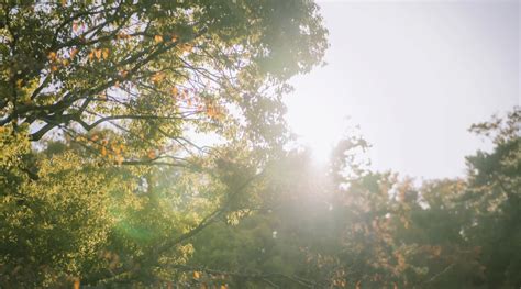 Unlocking the Power of Personal Branding for Your Organization! 