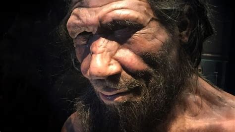 neanderthal traits in humans - Opposing Views