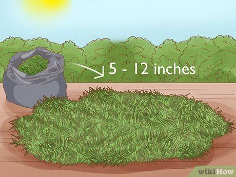 How To Overwinter Dahlias Steps With Pictures Wikihow