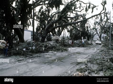 Downed Trees And Damaged Automobiles Line An Ash Covered Street Aboard