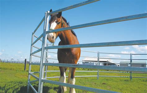 Horse Corral Panels for Pasture Feeding