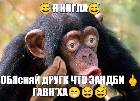 Meme 😅Я КЛГЛА😅 ОБЯсняЙ дРУГК ЧТО ЗАНДБИ 🖕ГАВНХА😁😆😆 All Templates