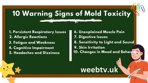 Recognizing 10 Warning Signs Of Mold Toxicity Guard Your Health Weeb TV