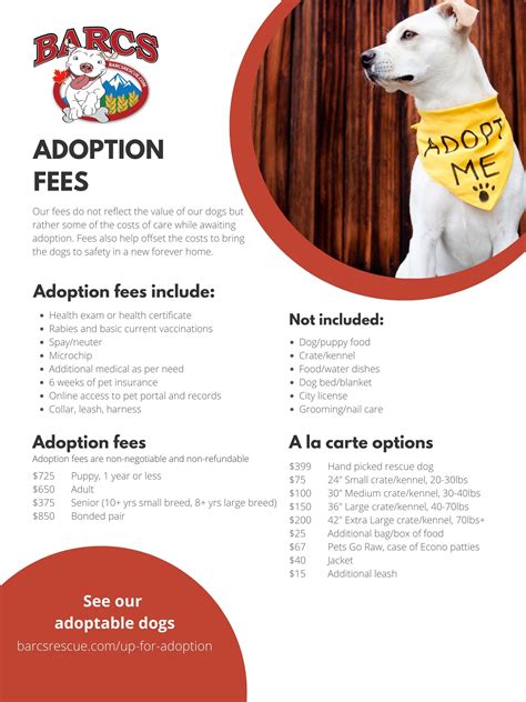What Are Rehoming Fees For Dogs