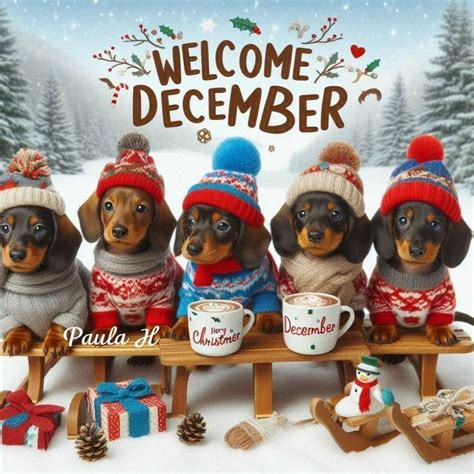 Pin By Renee Vaga On Months In Dachshund Christmas Dachshund