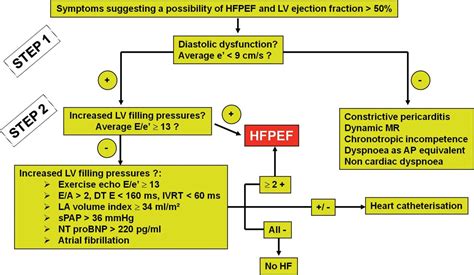 Diagnosis Of Heart Failure With Preserved Ejection Fraction Role Of Clinical Doppler