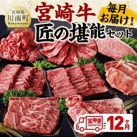 【定期便】宮崎牛 匠の堪能セット 12か月定期便 【 黒毛和牛 宮崎牛 全12回 焼肉 しゃぶしゃぶ 焼きしゃぶ Bbq