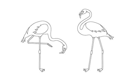 Flamingo vector línea icono dibujo pájaro tropical verano animal