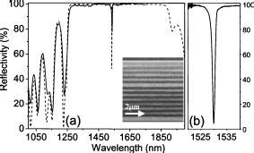 A Reflectivity Spectrum Of An Erbium Implanted Porous Silicon Psi