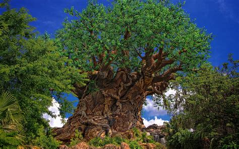 Disney Tree of Life Wallpaper - WallpaperSafari