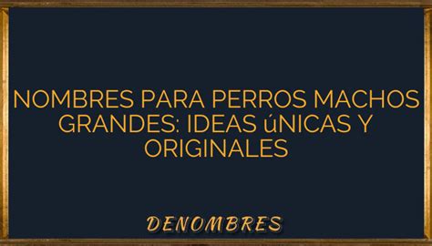 Nombres Para Perros Machos Grandes Ideas únicas Y Originales