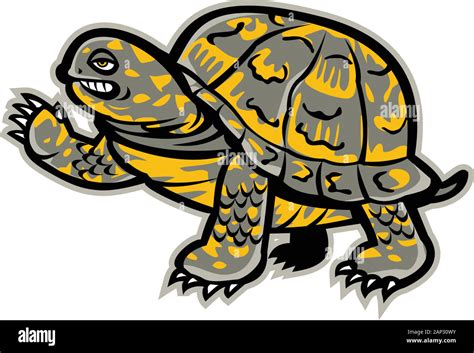 Box Turtle Clip Art