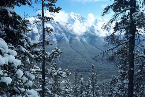 Hike the Sulphur Mountain Trail in Banff Canada - 2023