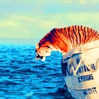 Richard Parker - Life of Pi Icon (37268593) - Fanpop