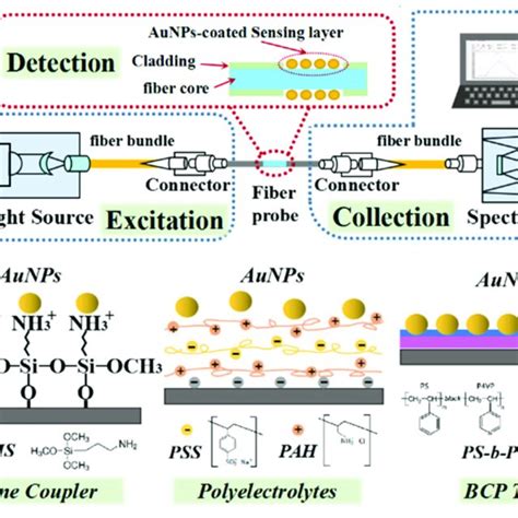 Gold Nanoparticle Characterization A Uv Vis Spectrum And B