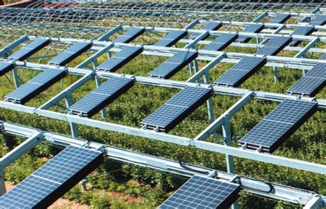 Agrivoltaico Da Solarpower Europe Una Guida E Una Piattaforma Dedicata