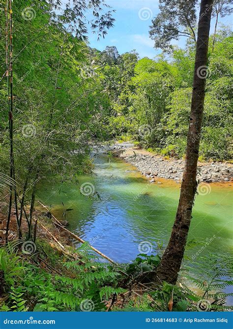 Beautiful Clean River in the Tourism Village Stock Image - Image of