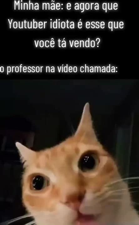 Hoje o memedroid tá morto Meme by DetudoAmigo Memedroid