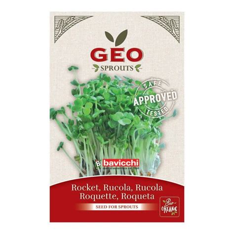 Graines Germer Bio De Roquette Graines A Germer Fr