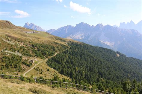 Woodywalk Mit Blick Zur Rossalm Dolomiten Im Hintergrund Plose