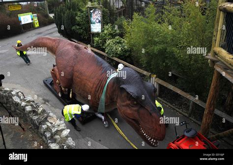 Chester zoo dinosaur exhibition hi-res stock photography and images - Alamy