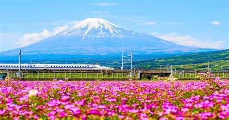 18 Scenic Amtrak Sleeper Train Routes