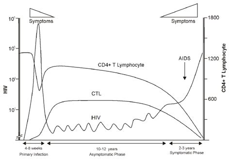 Time course of natural history of HIV infection ([10],[14]). | Download ... 