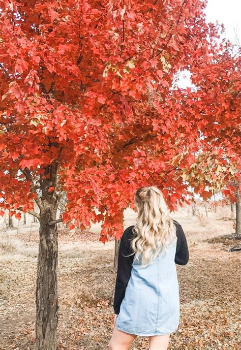 37 Fall Photoshoot Ideas For Models Fall Photoshoot Fall Pictures