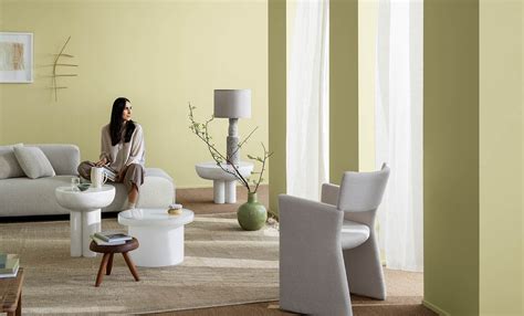 Colour Collections By Jotun Middle East