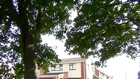 Nerd Pervert Vol 21 Eating Pussy Porn XHamster