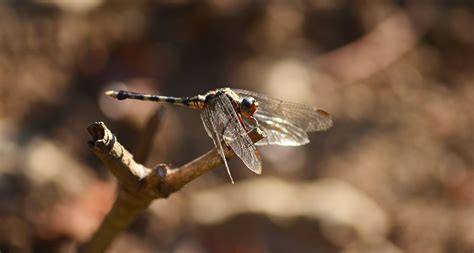 Madagascar - PHOTOGRAPHY on Behance