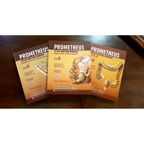 Jual PROMETHEUS Atlas Anatomi Manusia Edisi 5 Paket 3 Buku ORIGINAL