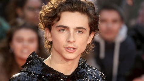 15 Timothée Chalamet's Hair Trends: Styles That Steal the Spotlight ...