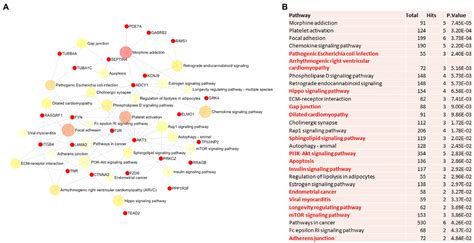 Frontiers Sex Specific Transcriptional Rewiring In The Brain Of Alzheimers Disease Patients
