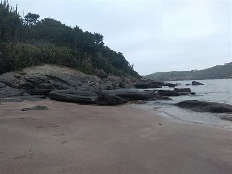 Praia Do Forno Arma O Dos B Zios Atualizado O Que Saber Antes