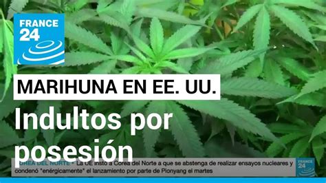 Condenados Federales Por Posesi N De Marihuana Ser N Indultados En