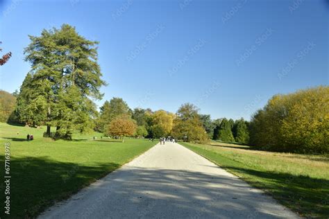 L All E Centrale Traversant Une Pelouse Entre Certains Arbres