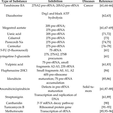 Inhibition Of Eukaryotic Rrna Processing In Different Steps The Rrna