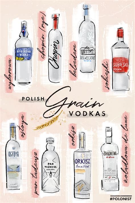 Beginner’s Guide to Polish Vodka [Best Brands!] - Polonist