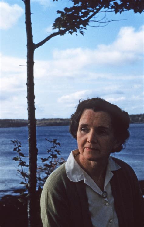 Rachel Carson And The Modern Environmental Movement The Leonard