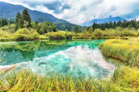 Premium Photo Amazing Summer View On Zelenci Lake With Beautiful