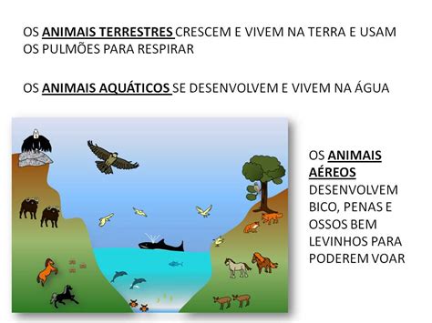 Ambientes Terrestres E Aquaticos - 7