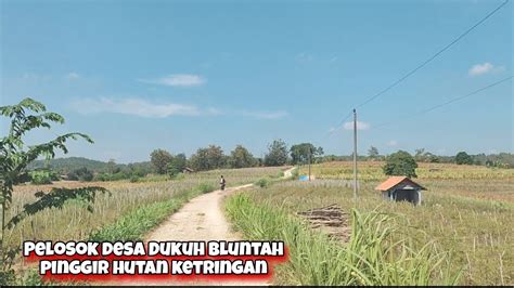 Blusukan Dukuh Bluntah Menuju Ngapus Ketringan Pemukiman Pinggir Hutan