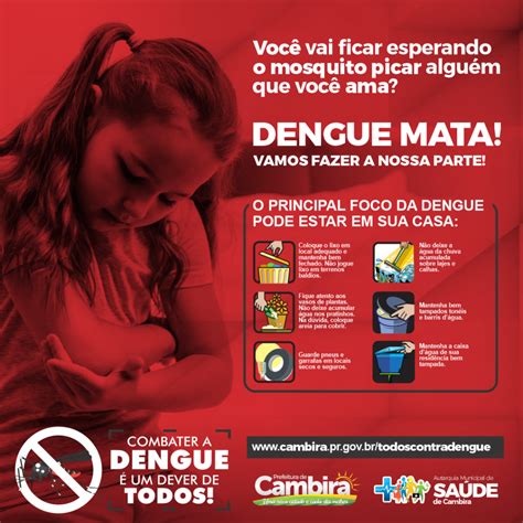 Dengue Mata Prefeitura Municipal De Cambira Pr