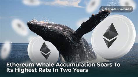 Ethereum Whale Accumulation Soars To Its Highest Rate In