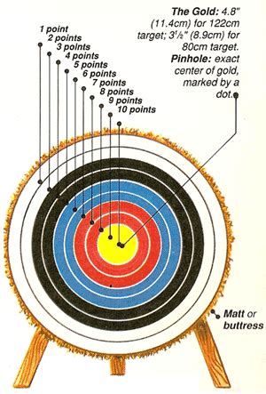 Archery Targets on Pinterest | Arrows, Shooting Targets and Archery Bows