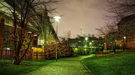 Wallpaper Sunlight Trees Fall Street Light City Cityscape Night