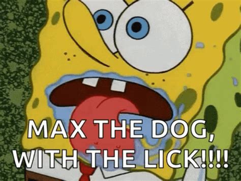 Spongebob Lick  Spongebob Lick Licking Descobrir E Compartilhar S