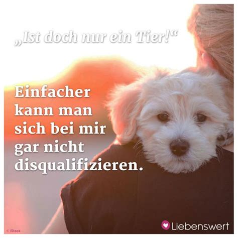 Spr Che F R Tierliebhaber Spr Che Tiere Spr Che Tierliebe Zitate Tiere